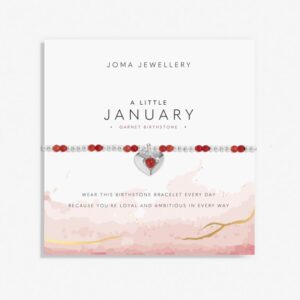 Birthstone A Little 'January' Bracelet In Silver Plating