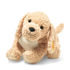 Hello, I am Berno Goldendoodle