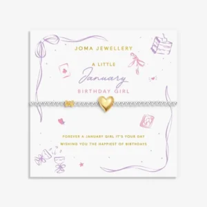 Birth Month A Little 'January' Bracelet in Silver and Gold Plating