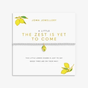 A Little Vibes 'The Zest Is Yet To Come' Bracelet
