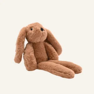 Cookie the Bunny