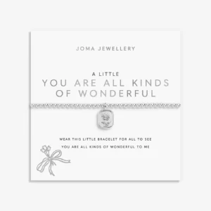 A Little 'You Are All Kinds Of Wonderful' Bracelet In Silver Plating